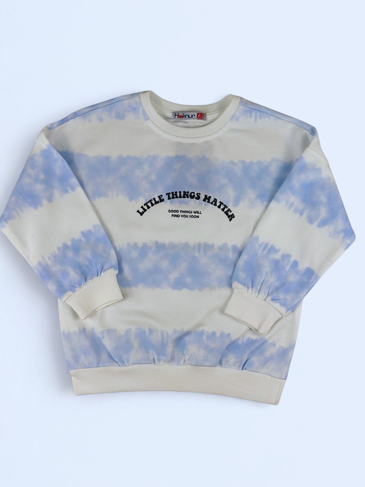 2-5 Yaş Erkek Little Things Matter Baskılı Sweat