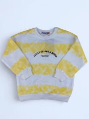 2-5 Yaş Erkek Little Things Matter Baskılı Sweat