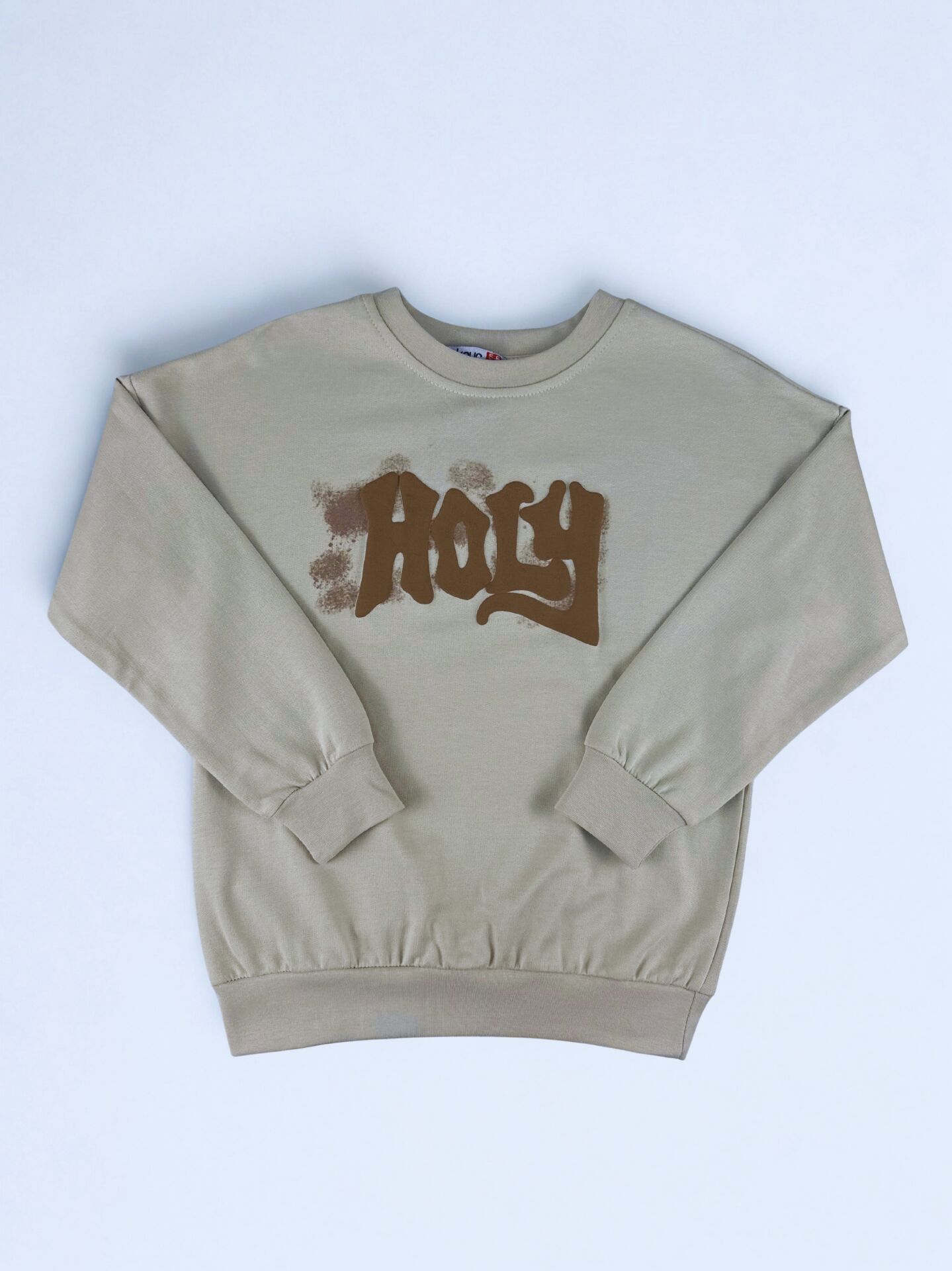 5-8 Yaş Holy Baskılı Erkek Çocuk Sweat